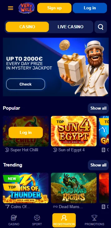 mobile app and web version